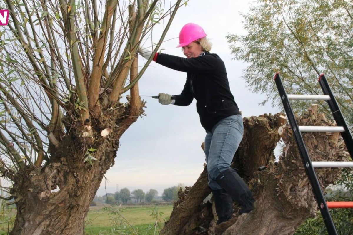 Stichting Landschapsbeheer Gelderland