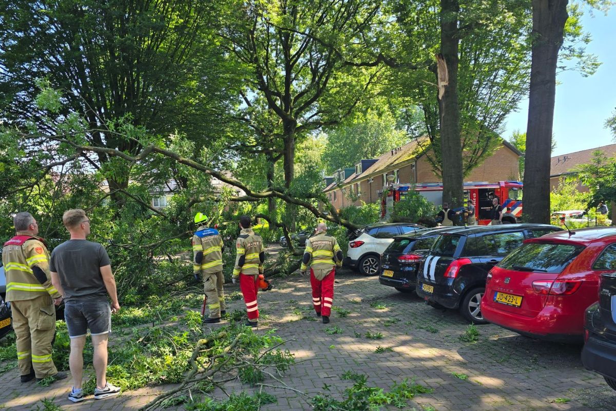 Persbureau Heitink