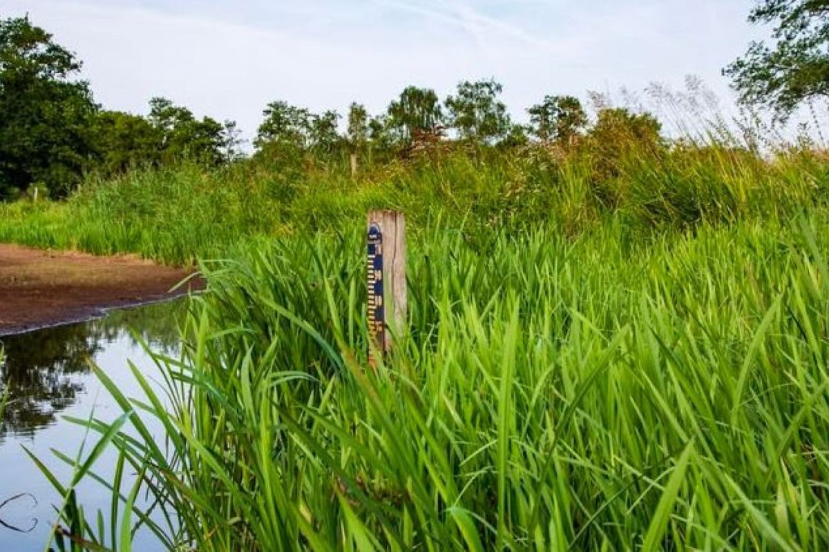 Waterschap Vallei en Veluwe