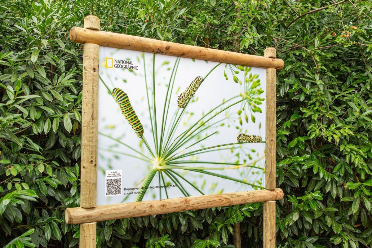 Ouwehands Dierenpark