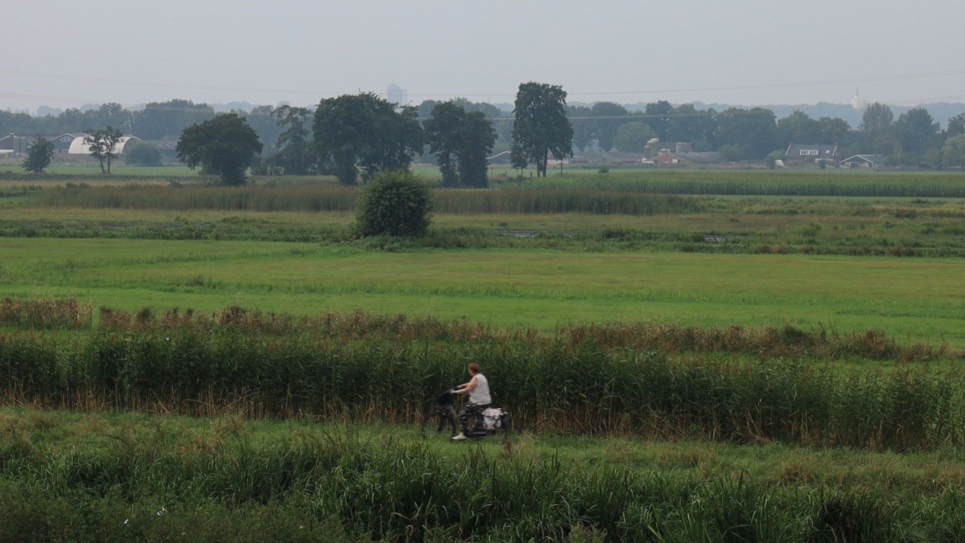 Freek Steenvoorden (XON)