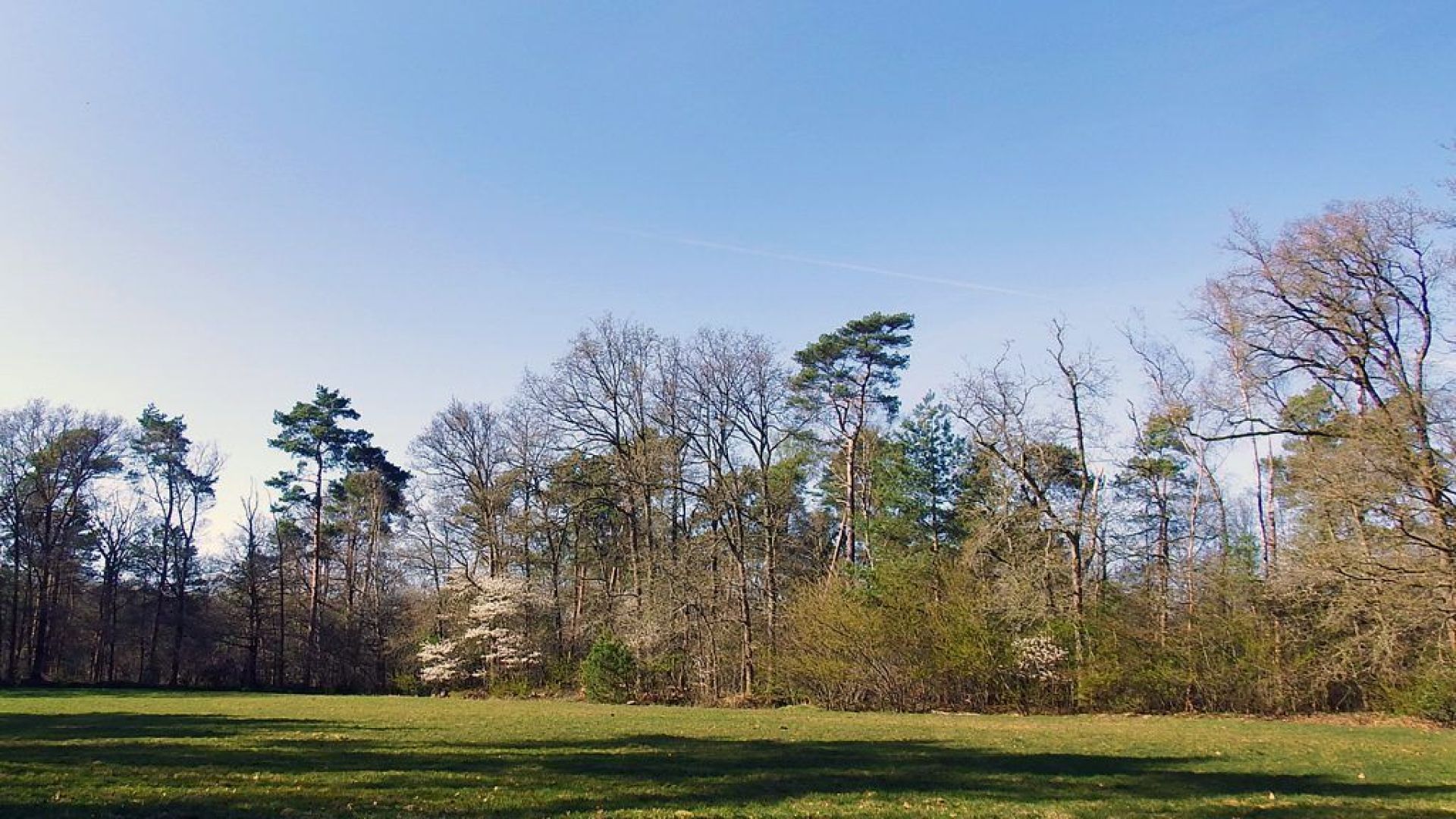 Natuurbegraafplaats Prattenburg