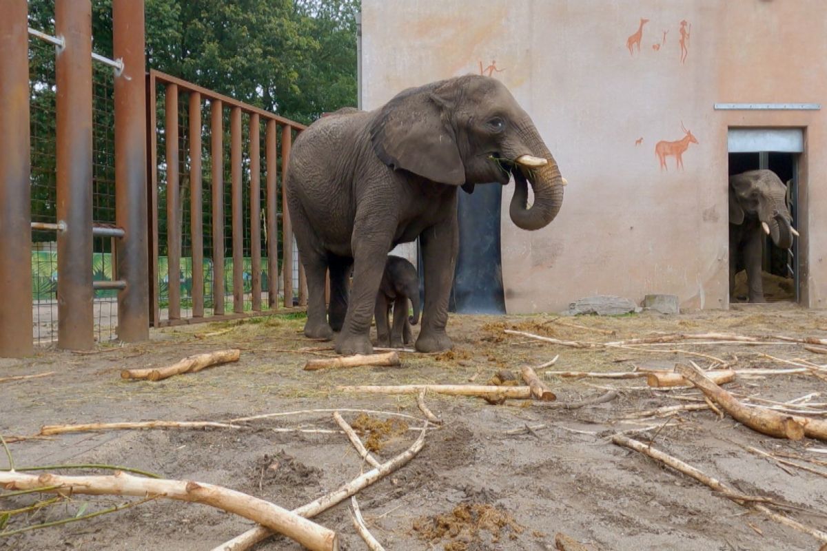 Ouwehands Dierenpark Rhenen