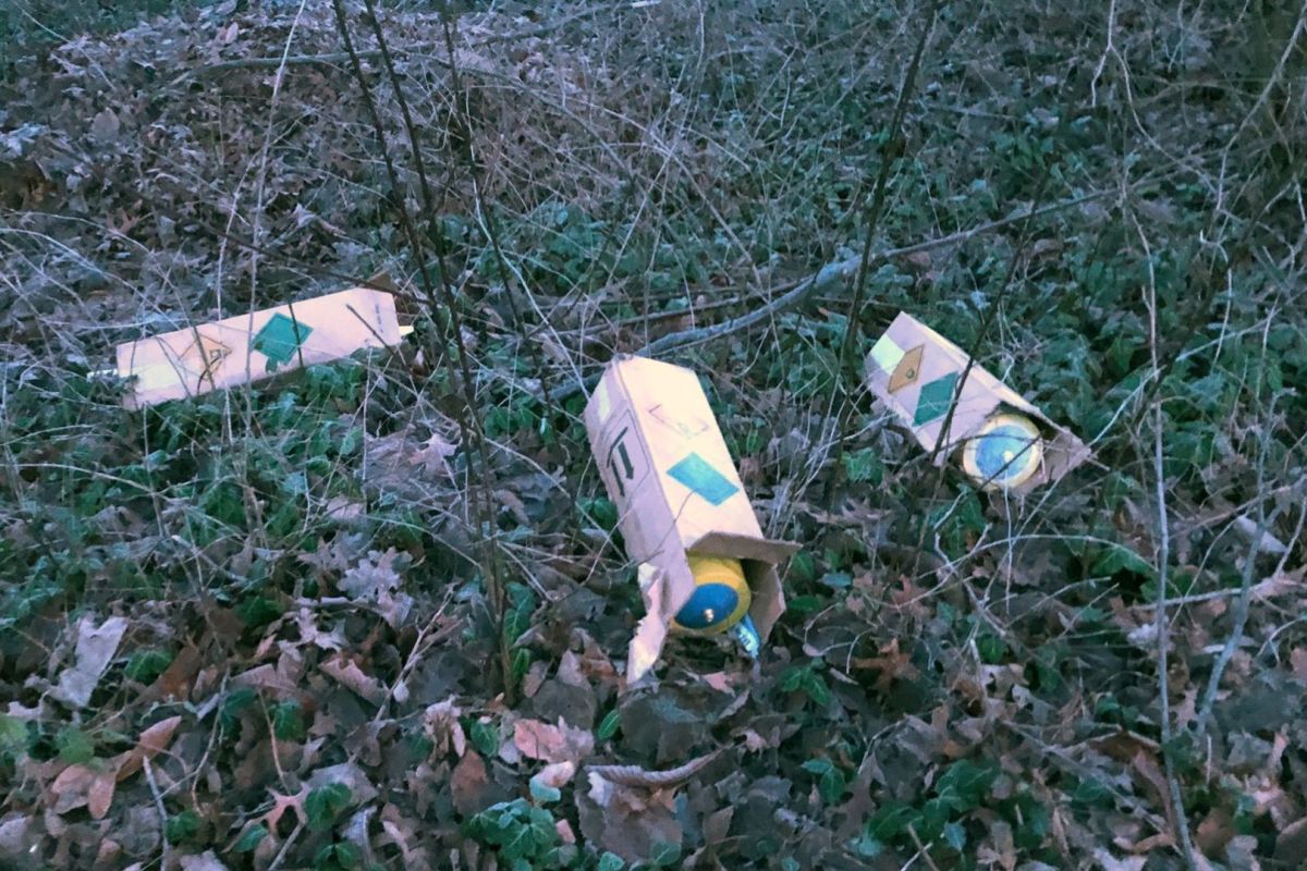 Foto: Jan van den Berg