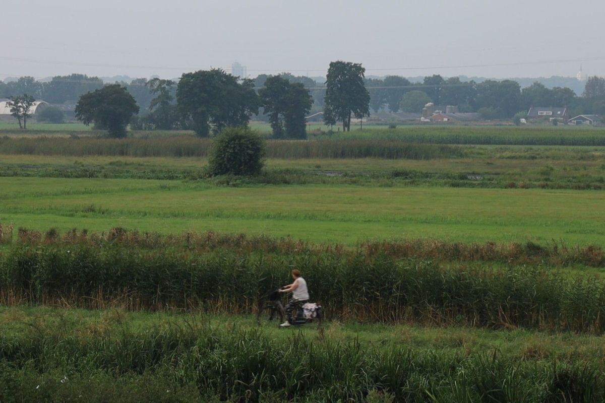 Freek Steenvoorden (XON)