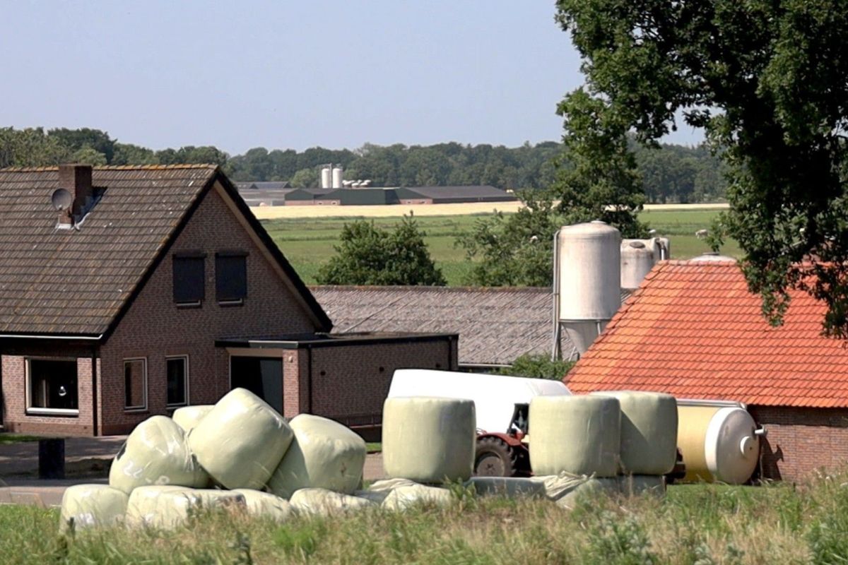 Freek Steenvoorden