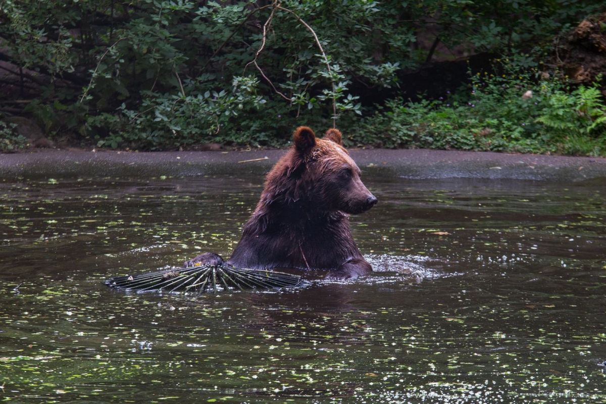 Ouwehands Dierenpark