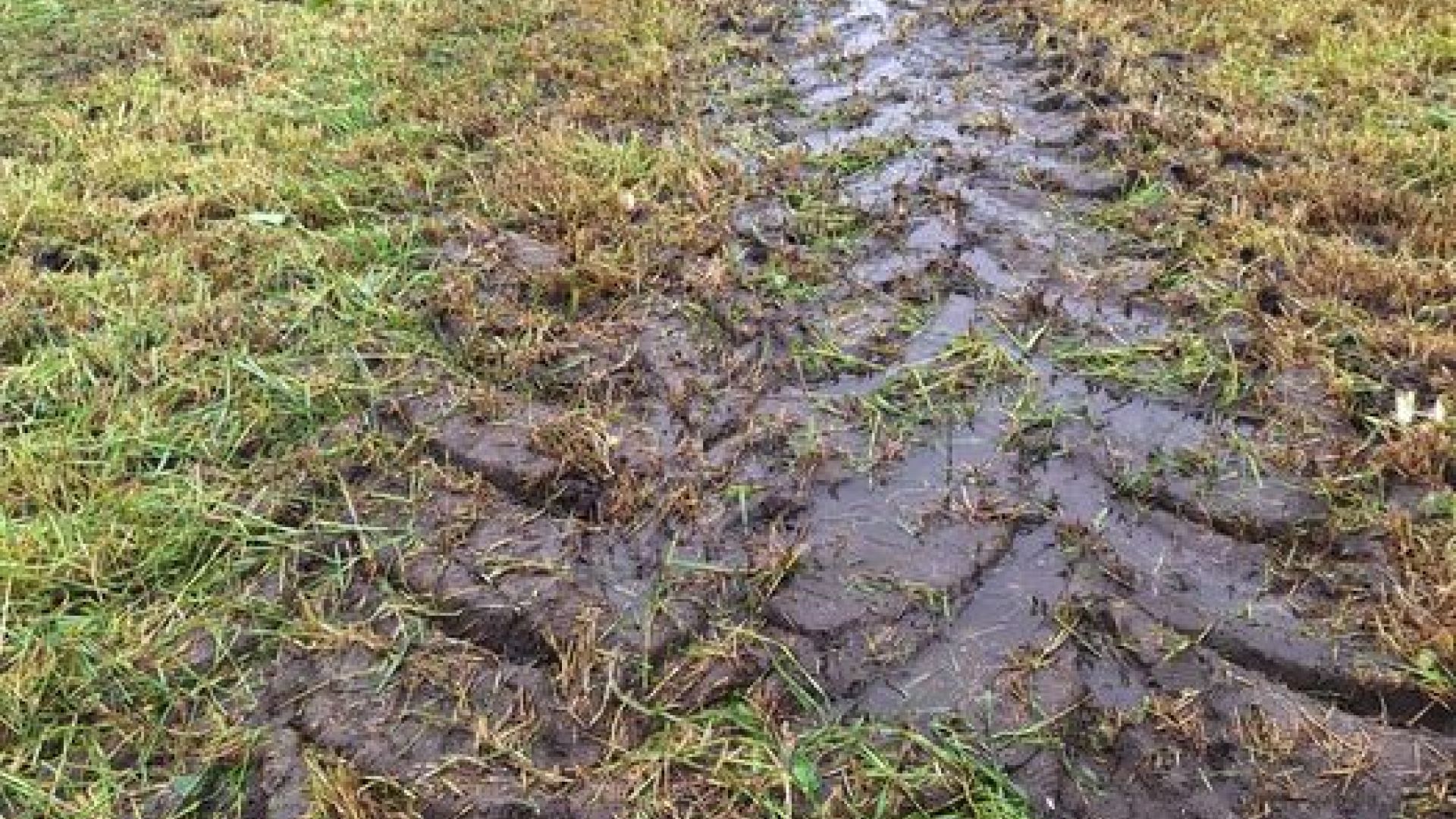 Trekkertrek Achterberg opnieuw afgelast – XON