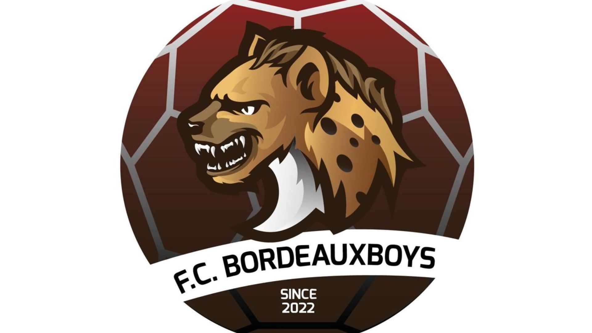 FC Bordeauxboys verslaat ZVV Beringe met ruime cijfers – XON