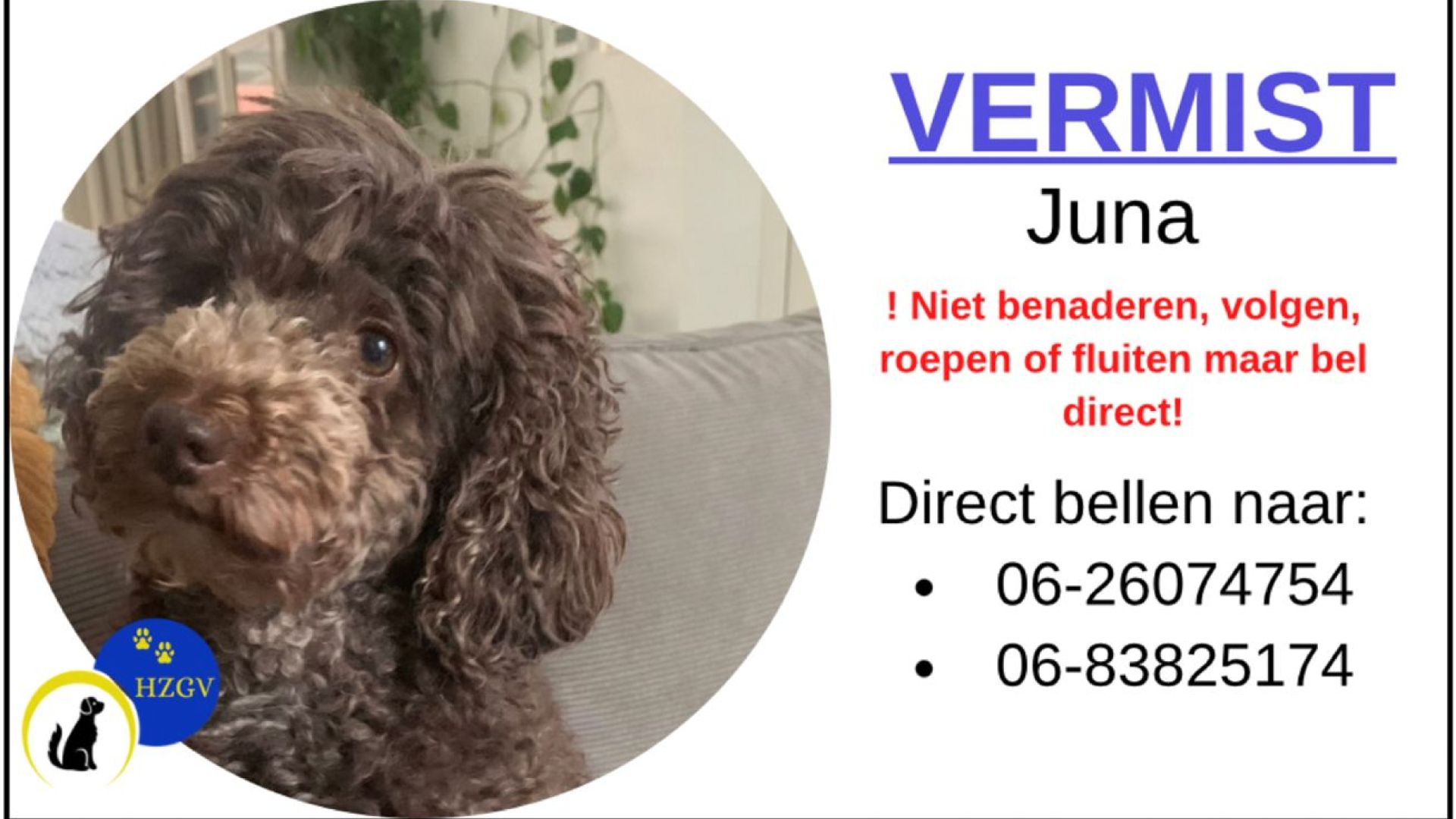 Hondje vermist in Harskamp sinds 11 juni