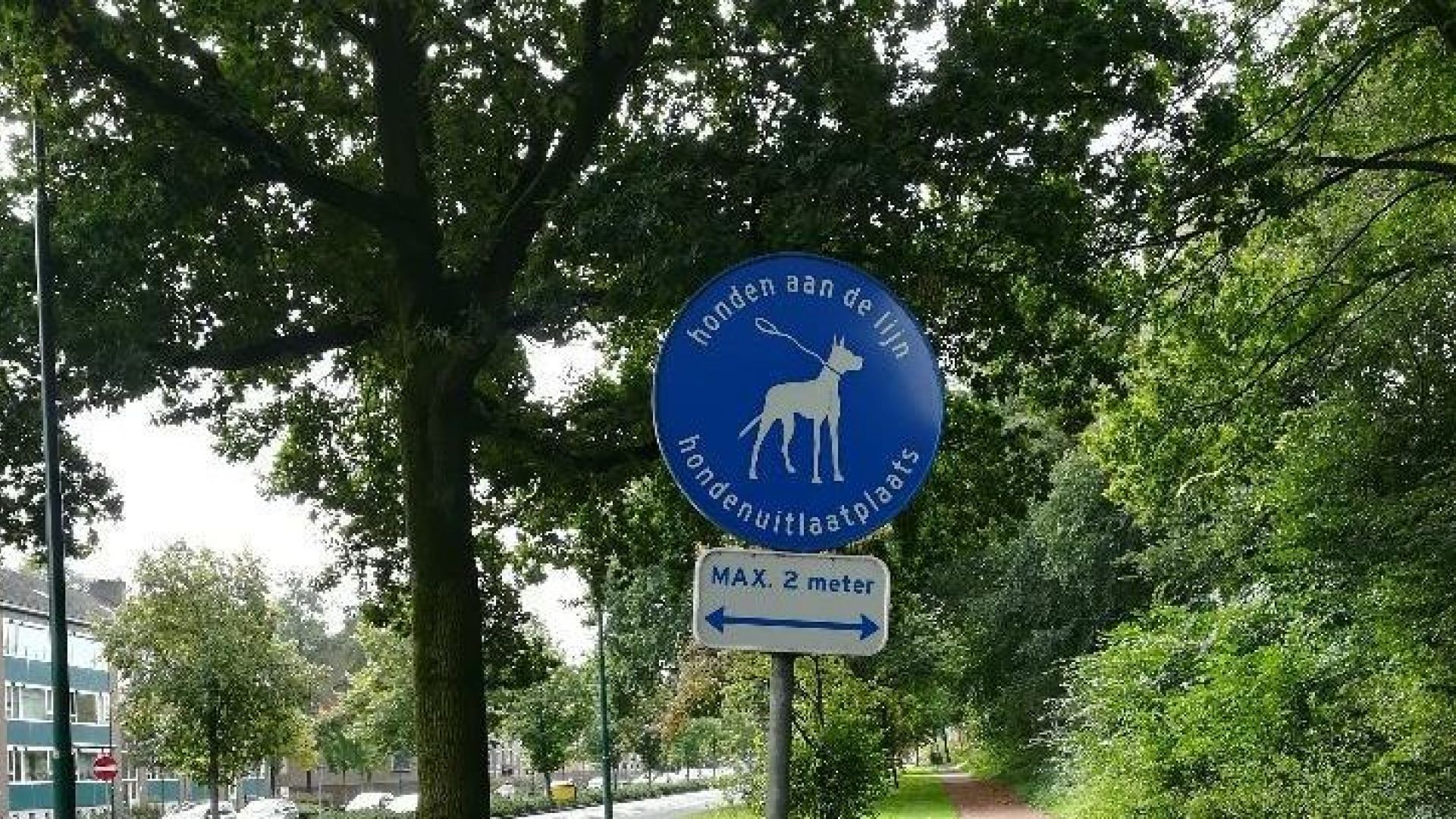 VVD Veenendaal wil oplossing hondenoverlast park Hondzenelleboog