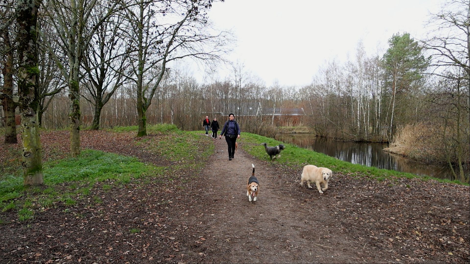 VVD Veenendaal zoekt oplossing hondenloslooppark Hondzenelleboog