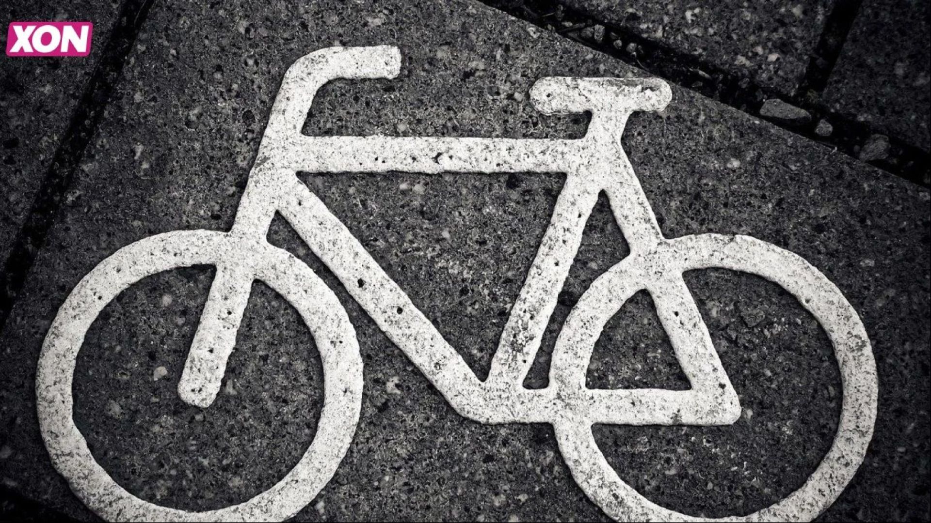 Zakelijke bakfietsen op de rijbaan en maximumsnelheid op fietspaden in Veenendaal