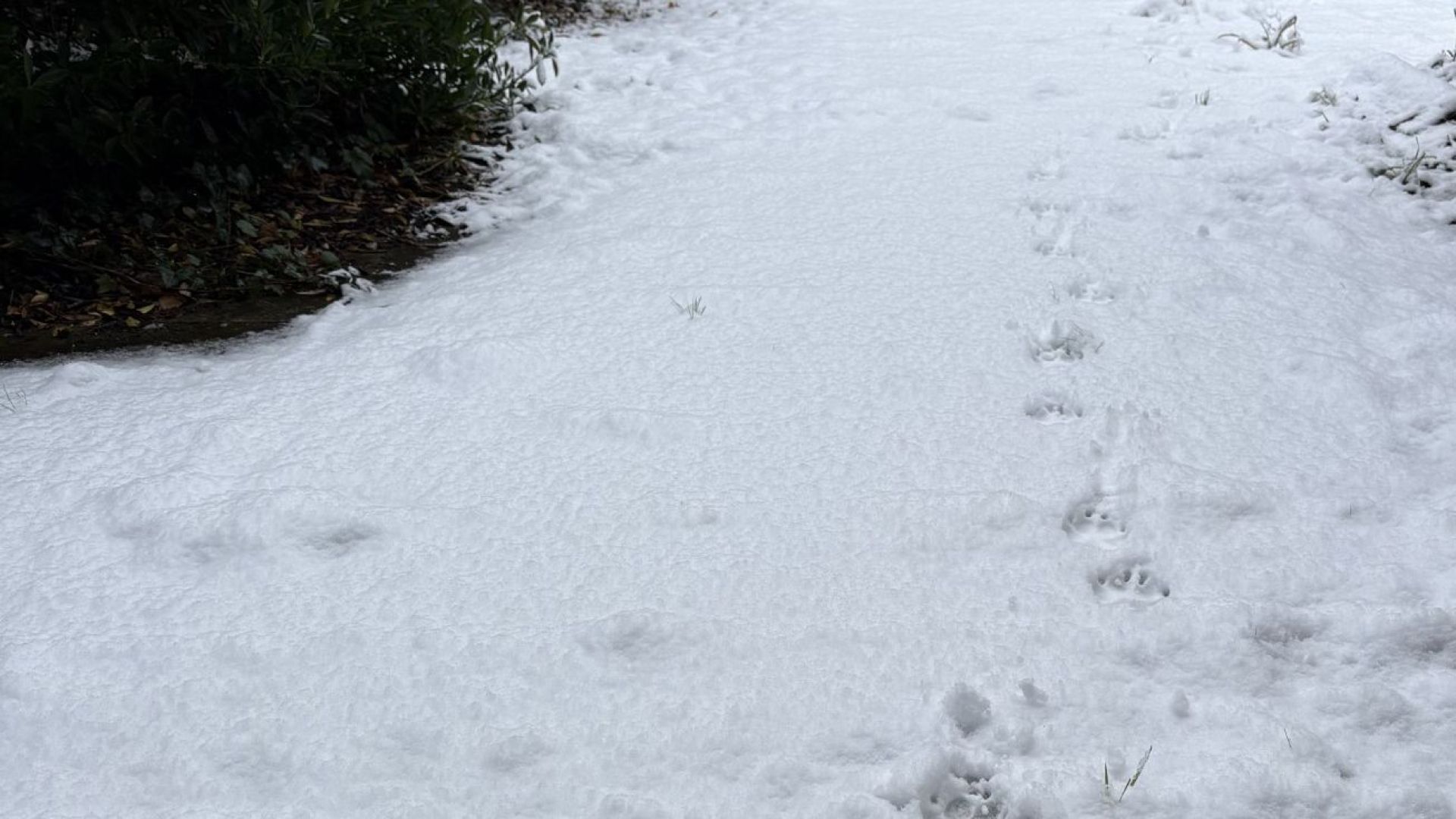 Nieuwjaarsbijeenkomst afgelast en tekort aan strooizout dreigt in Scherpenzeel