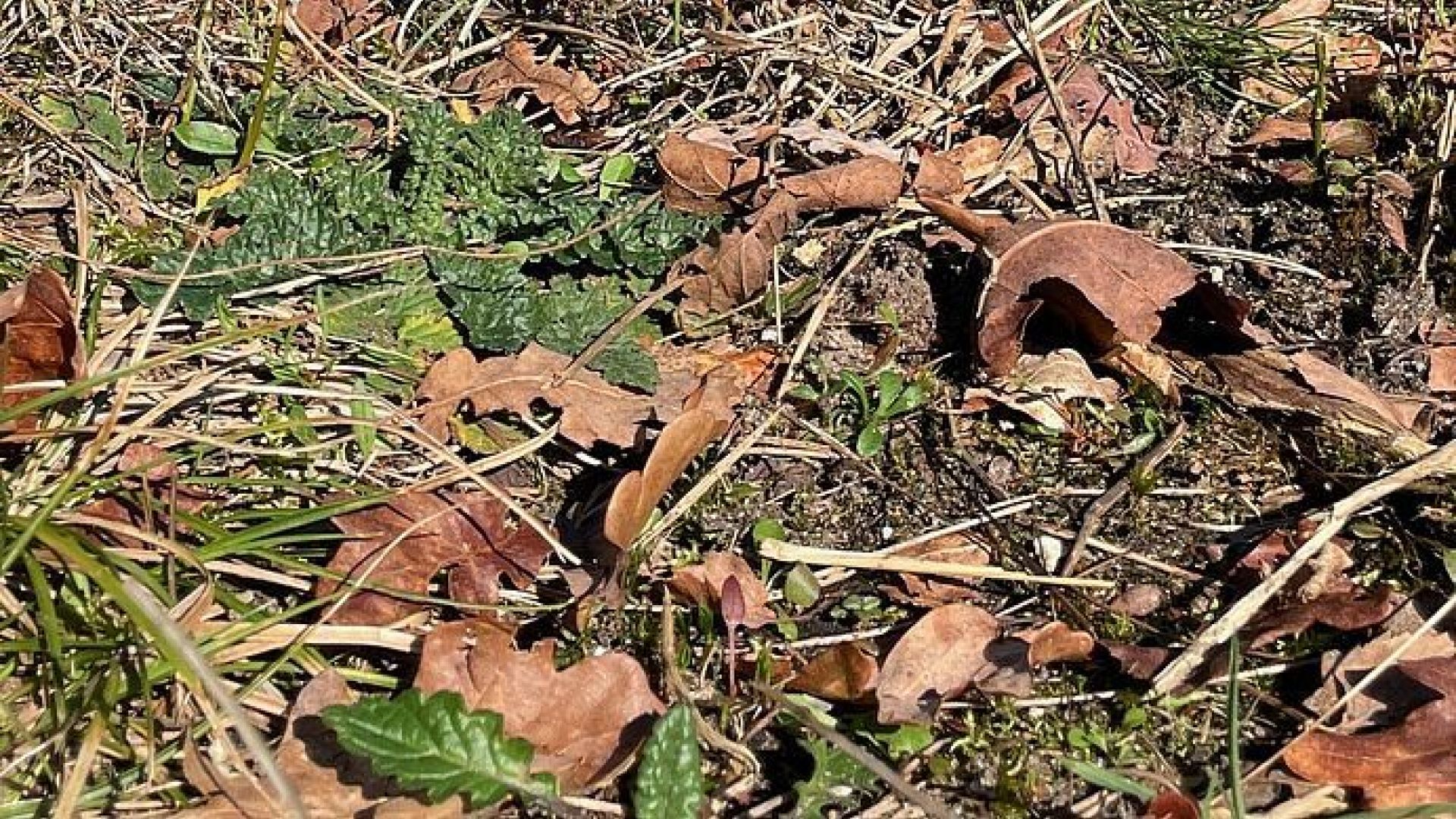 Liesbeth Hunink / Gemeente Ede