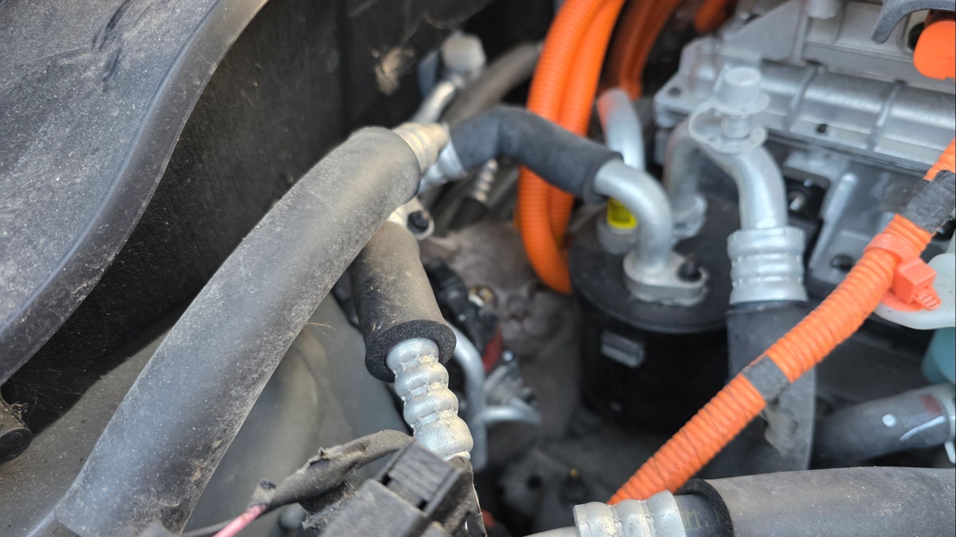 Kat verstopt zich onder motorkap van auto in Wageningen