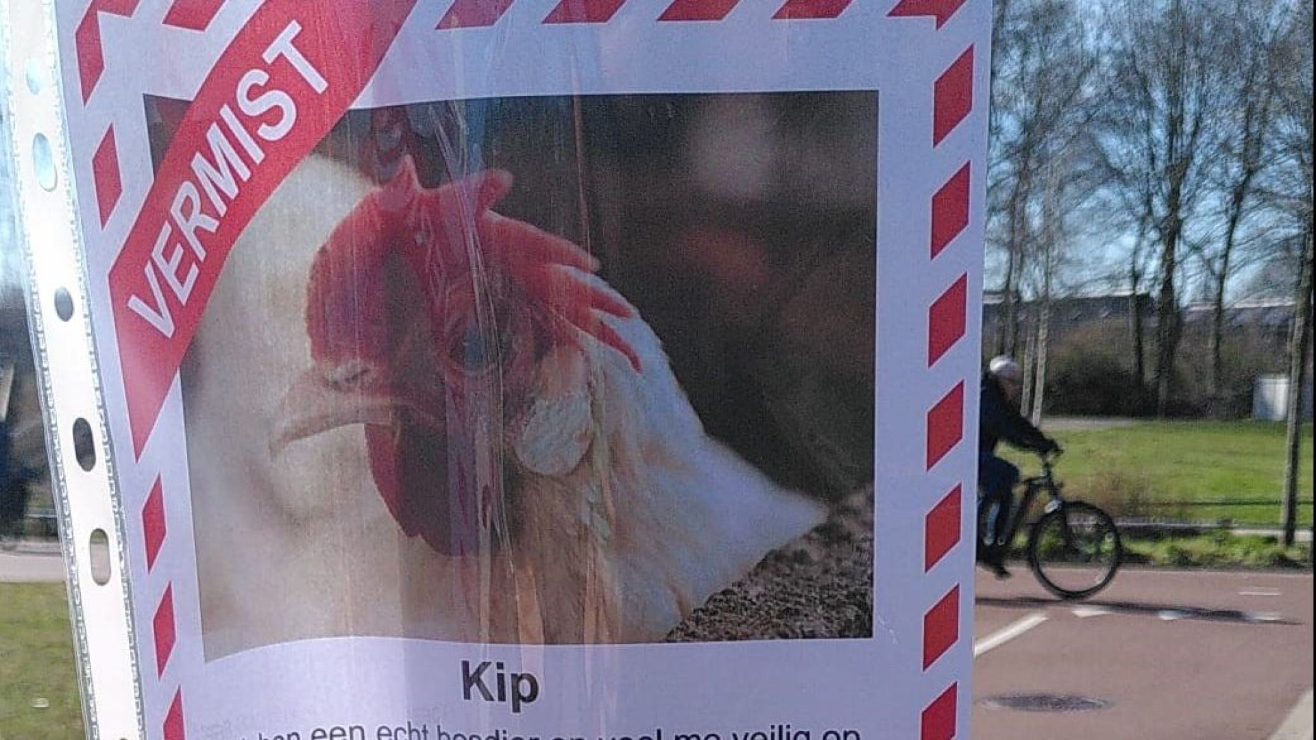 Vermist-posters blijken actie van Partij voor de Dieren Ede