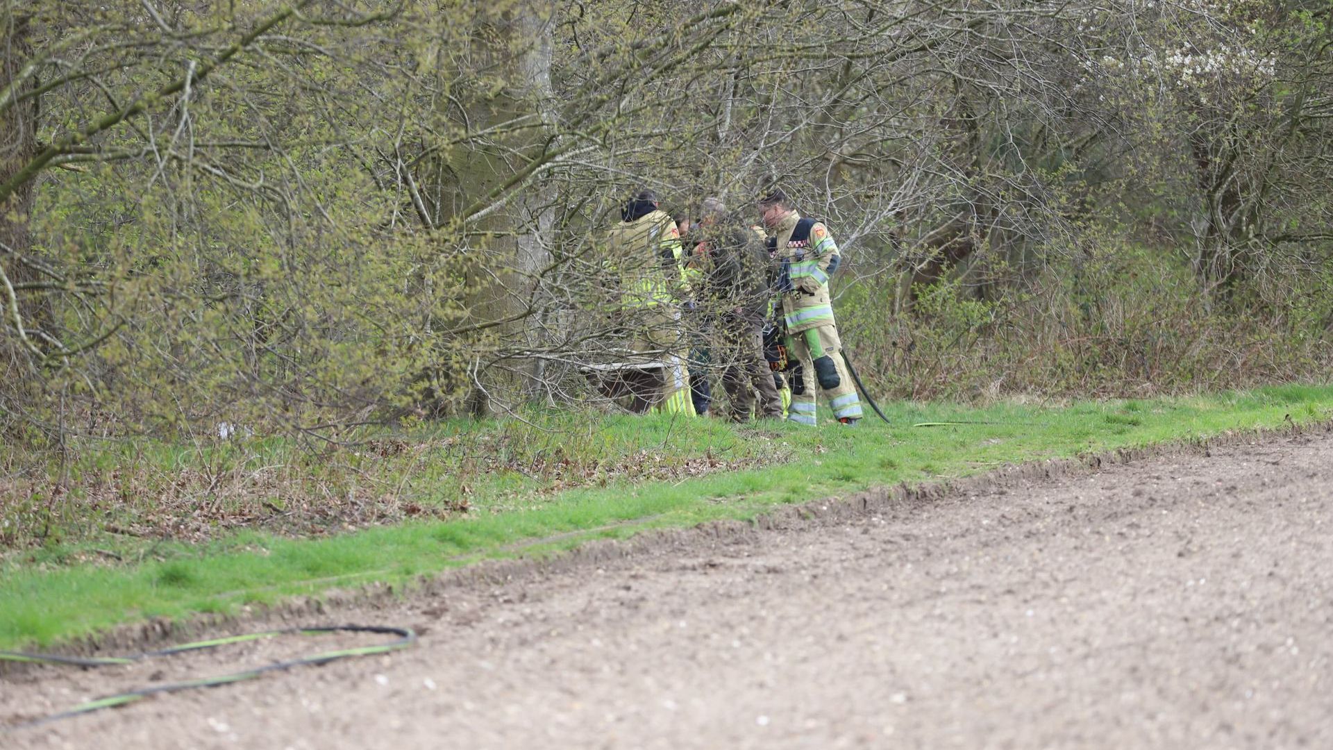 Bosbrand in Rhenen snel onder controle