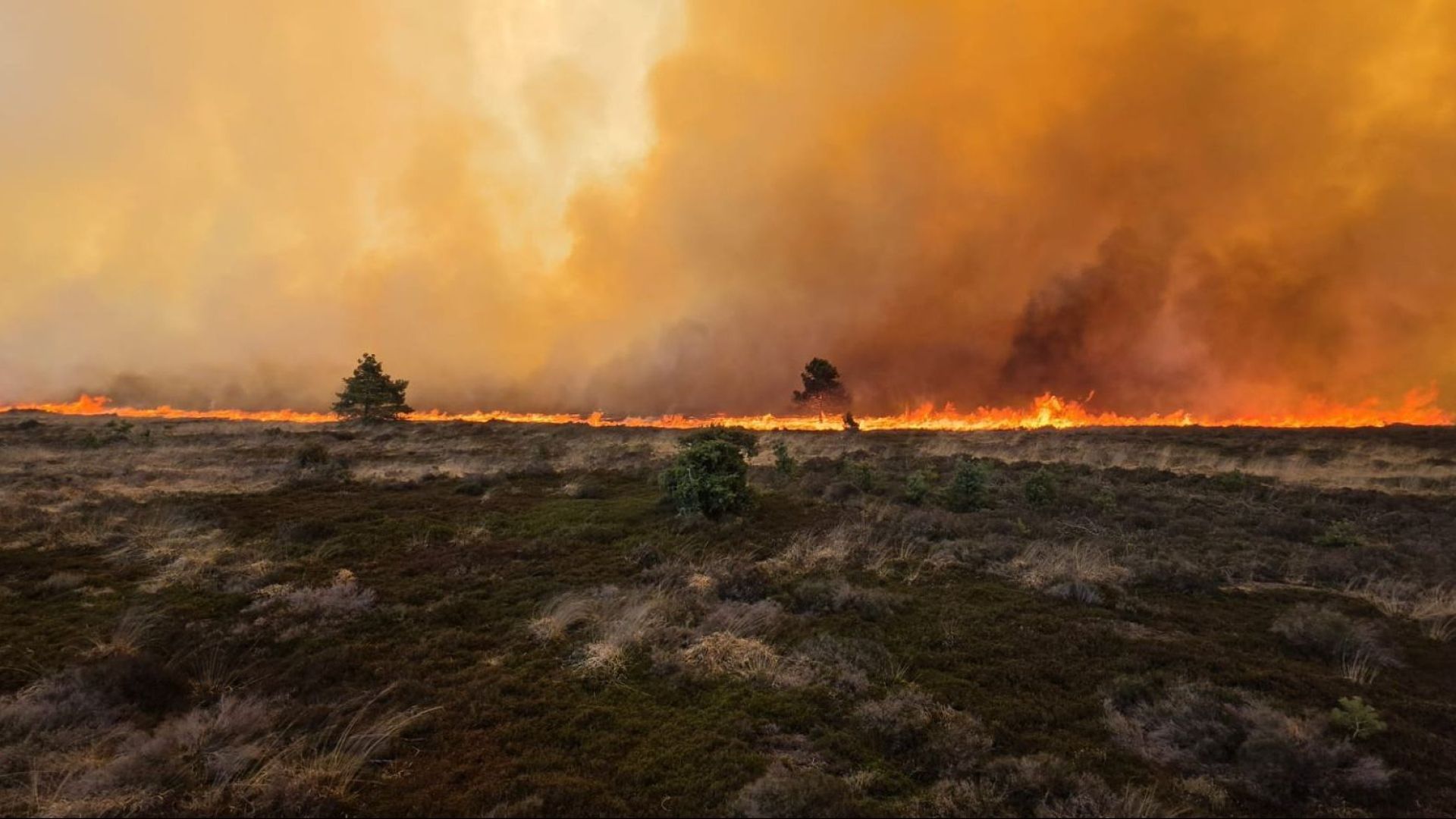Brandweer Renswoude helpt bij bestrijding grote natuurbrand ’t Harde