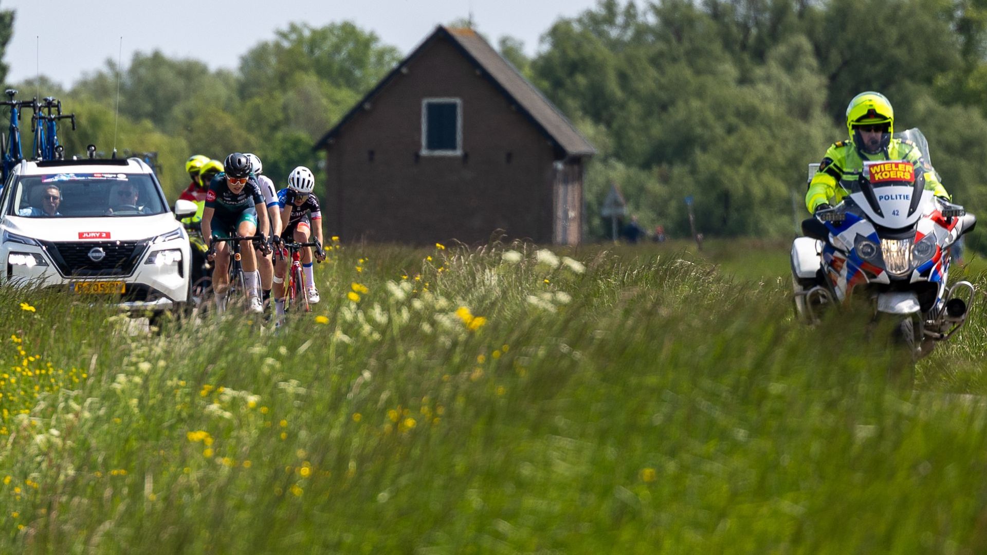 Ted Walker fotografie