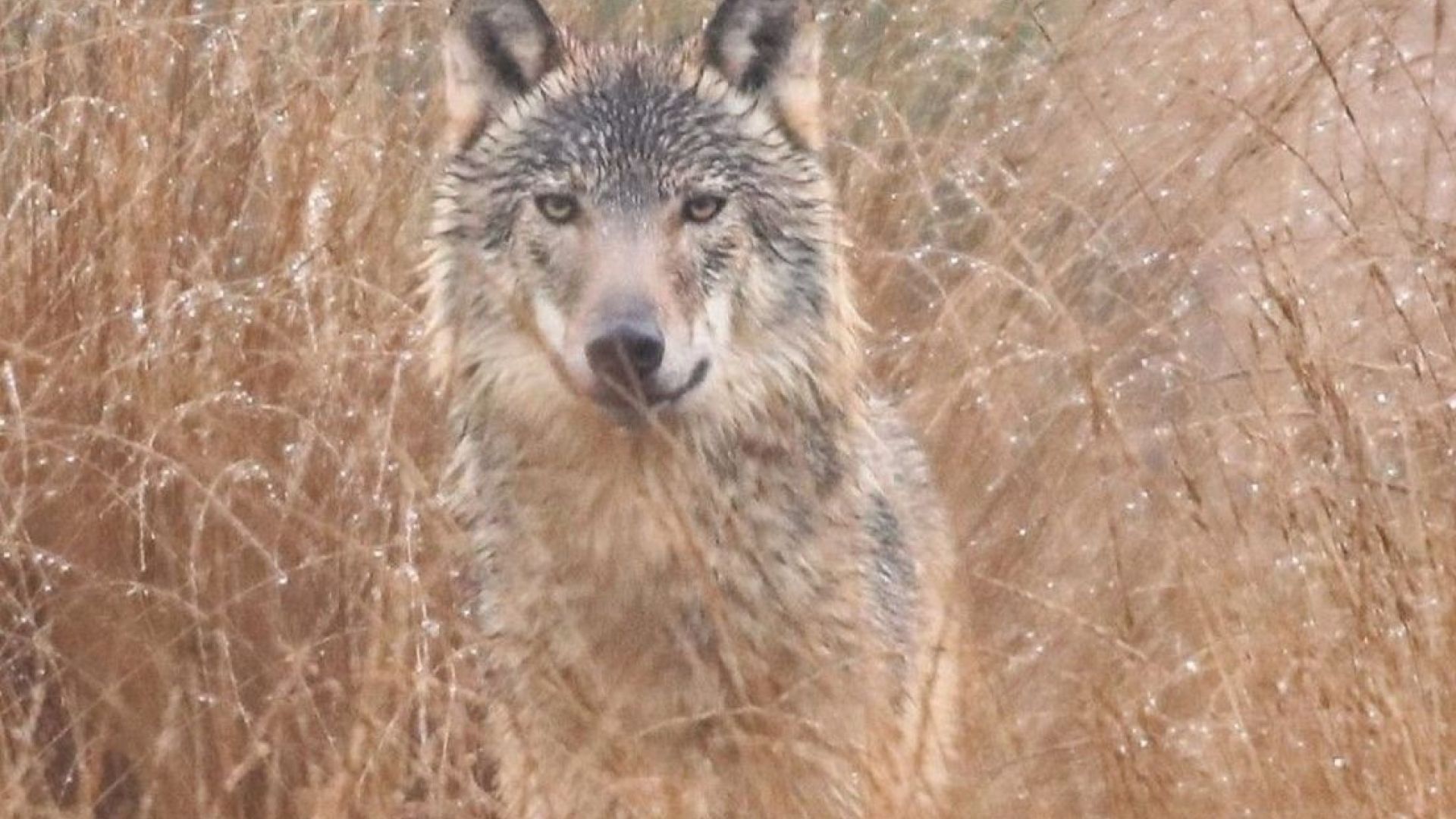 Gert-Jan van Sligtenhorst