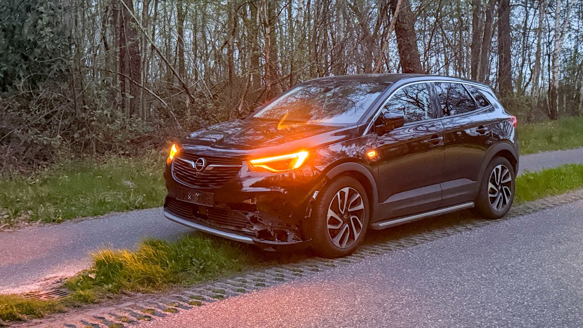 Ree doodgereden op de Barneveldsestraat in Renswoude