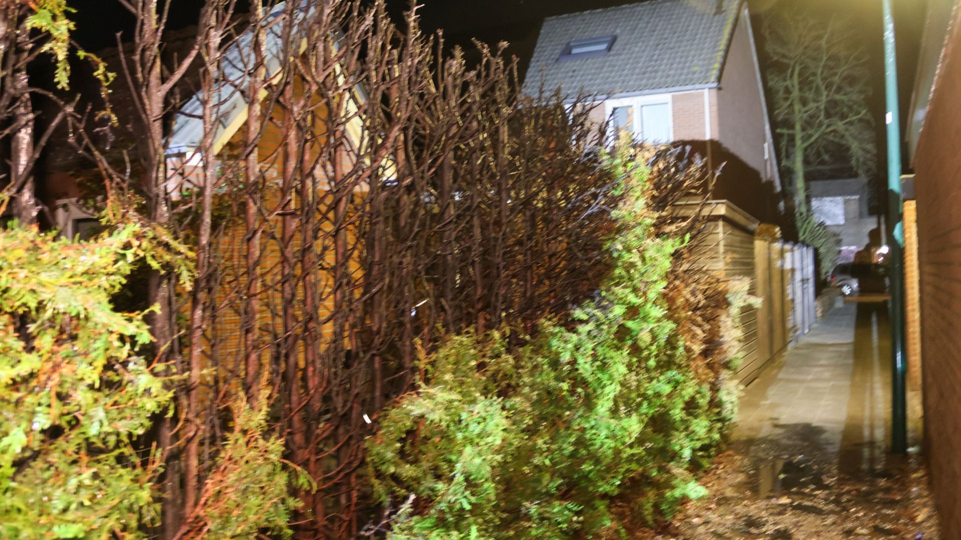 Twee coniferenhagen in vlammen op in Renswoude