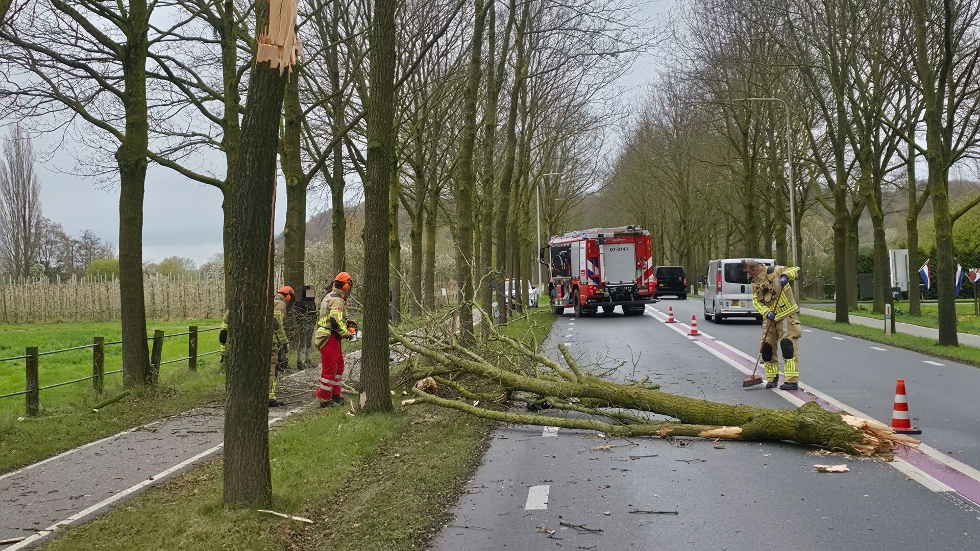 Windvlaag blaast bomen over de weg in Rhenen: vrachtwagen loopt schade op
