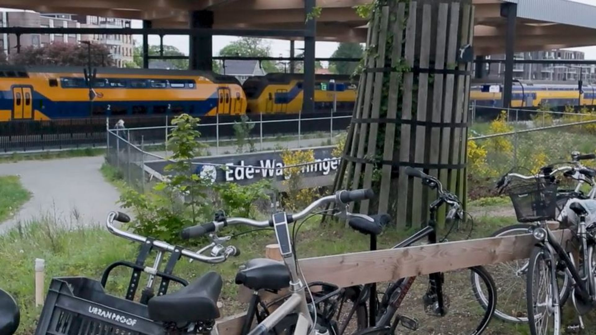 Bastiaan Mooijman / XON
