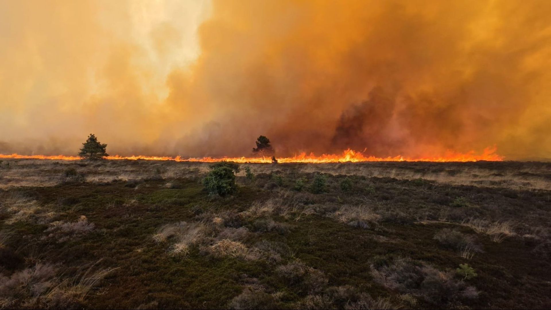 Gemeente Woudenberg: wees alert in de natuur bij droogte en warm weer dit weekend