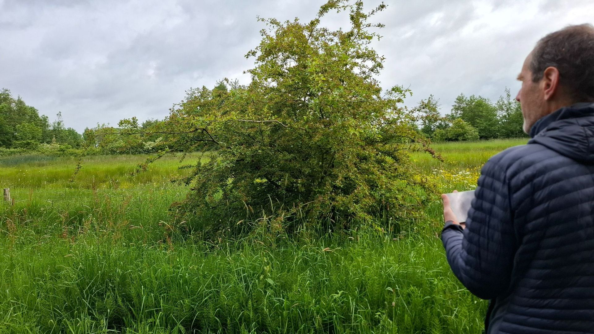 Stichting Landschapsbeheer Gelderland
