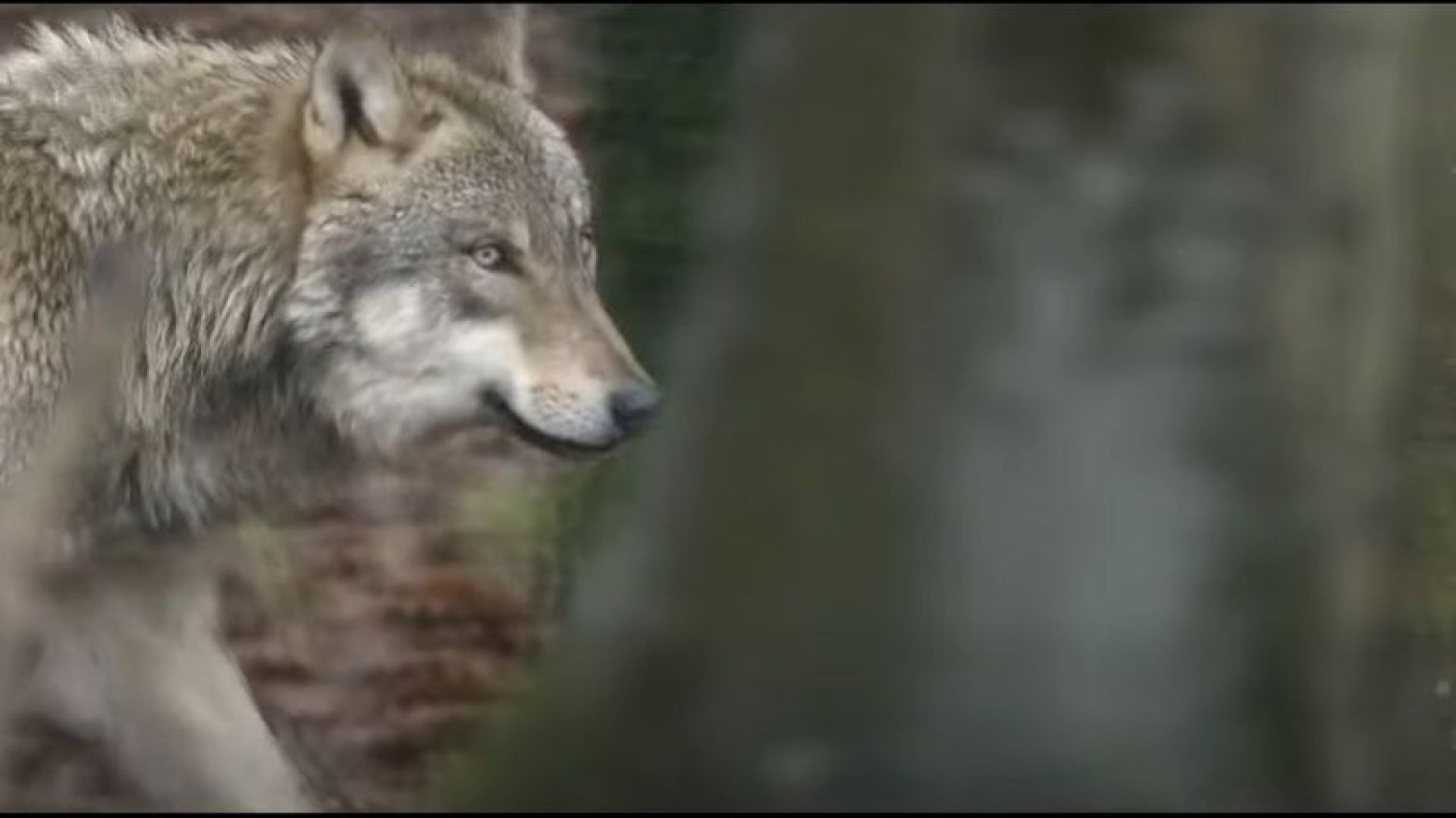XON