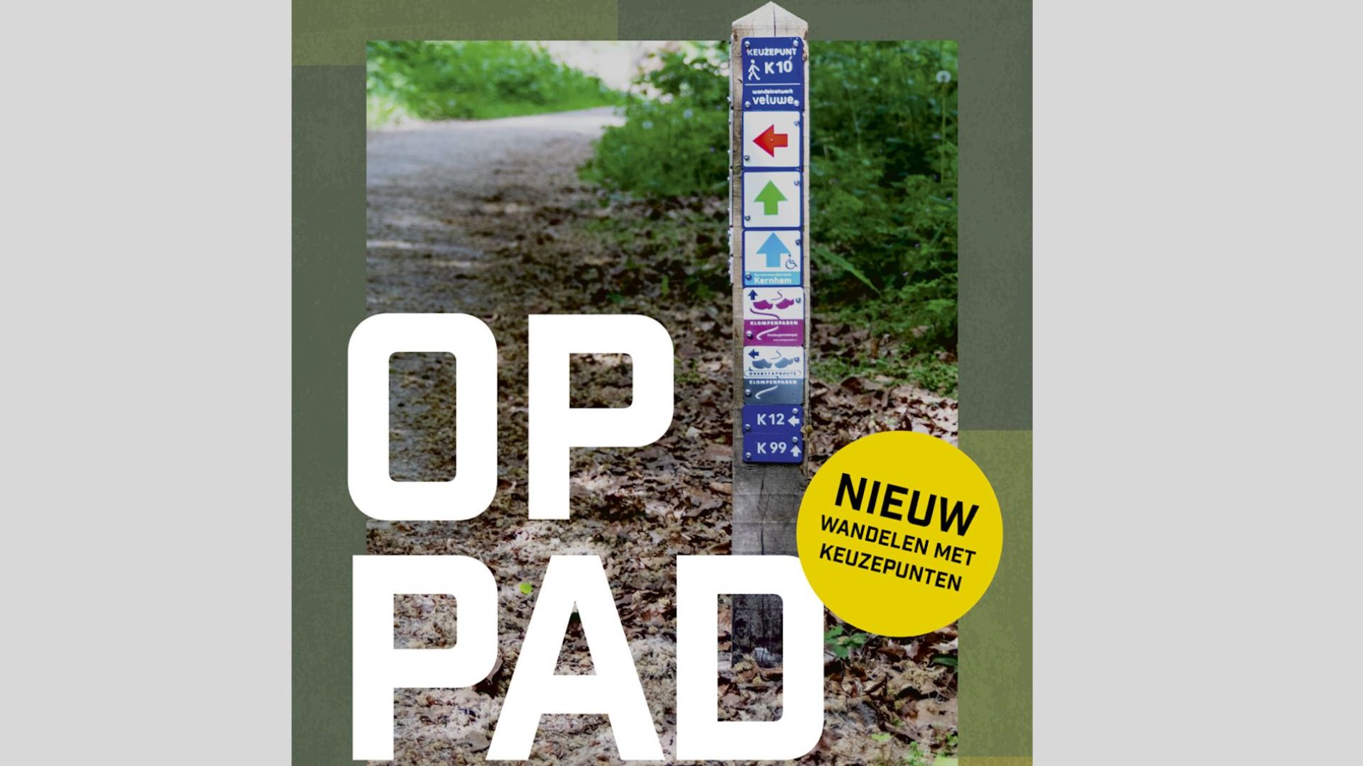 Ede Marketing