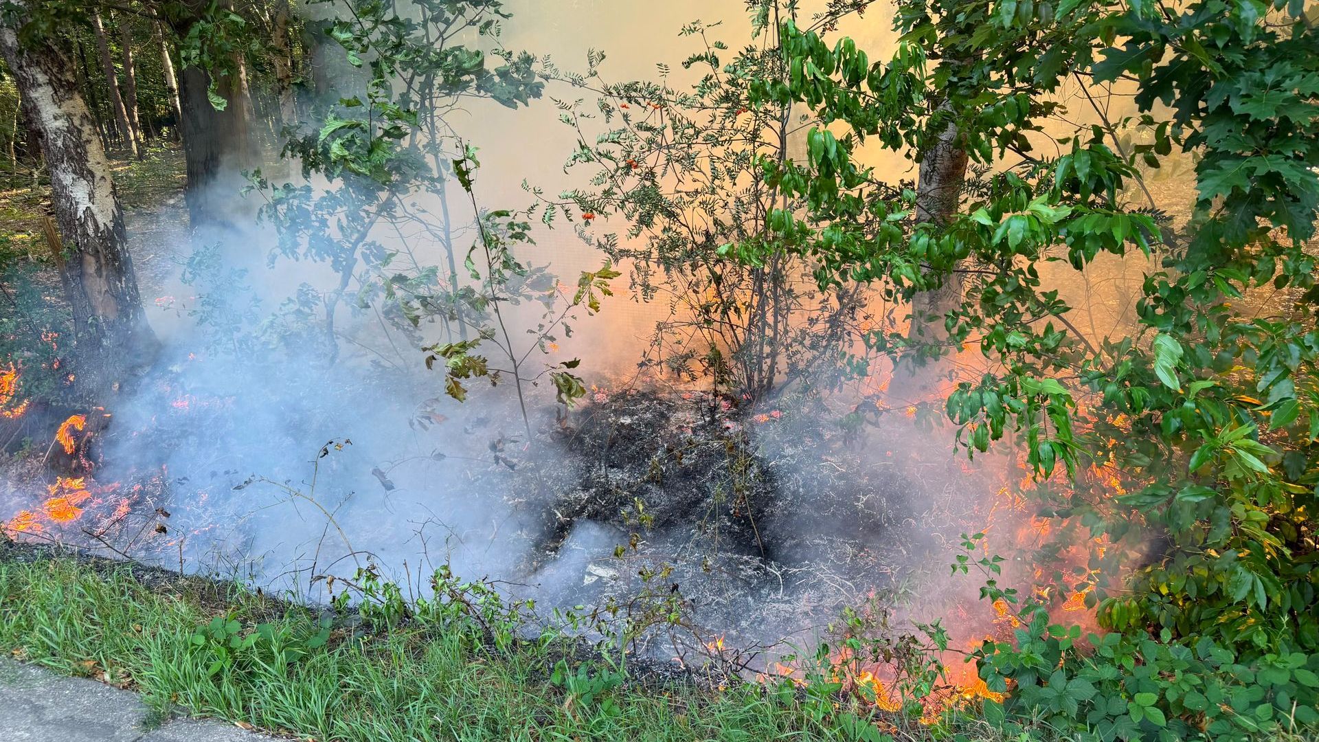 Flinke brand in bos bij Harskamp
