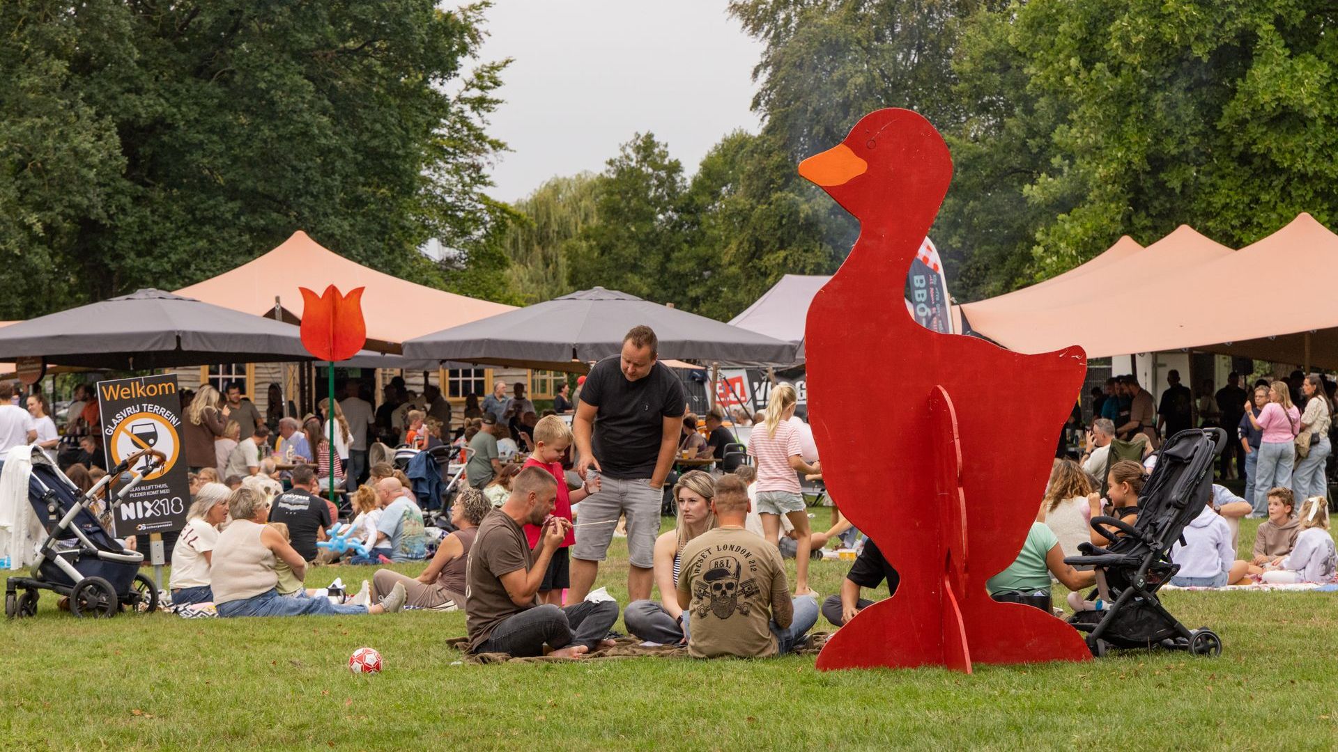 PicknickValley in Scherpenzeel; ondanks de regen toch geslaagd