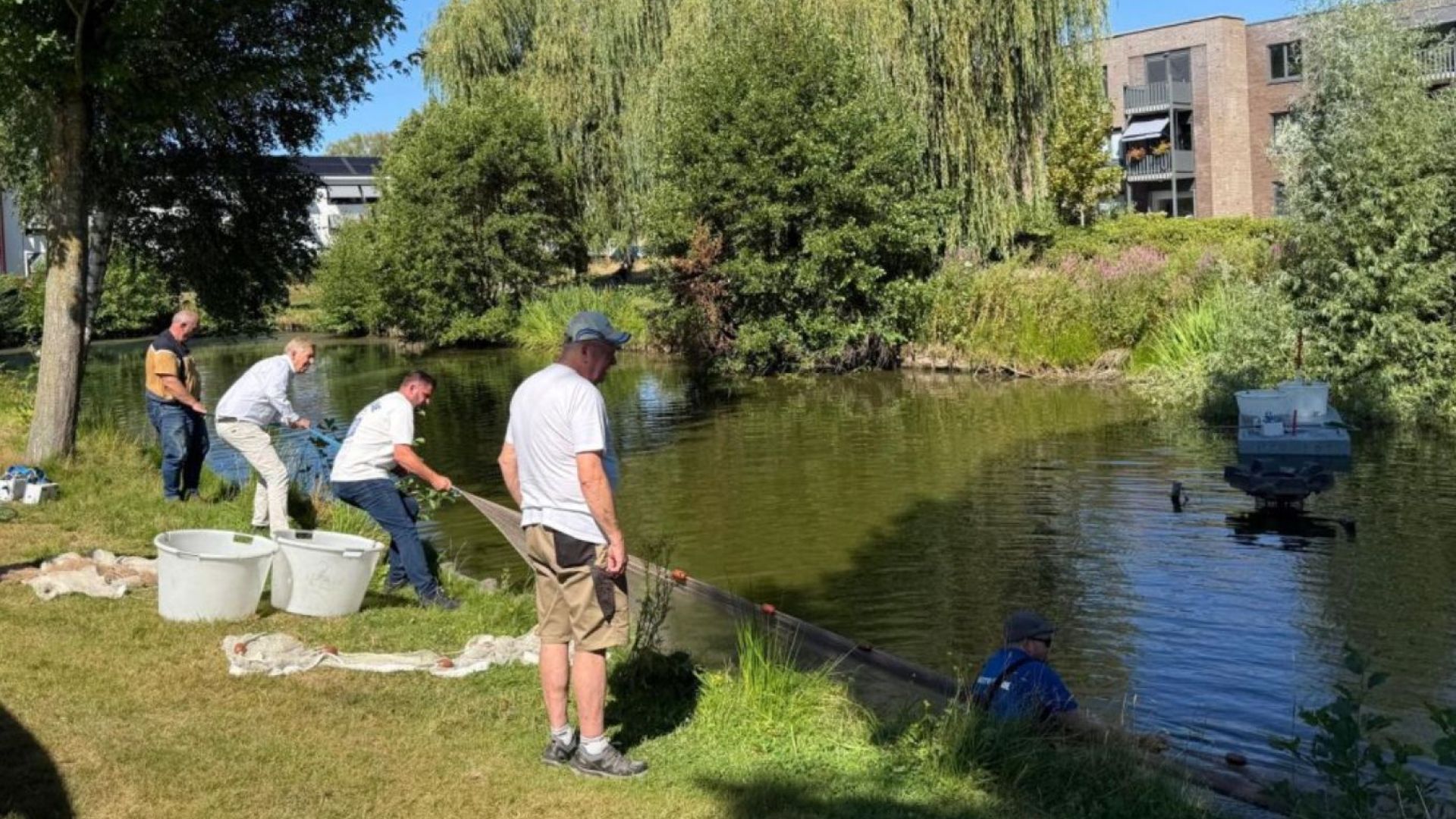 Vissen in Scherpenzeel verplaatst in verband met lage waterstand