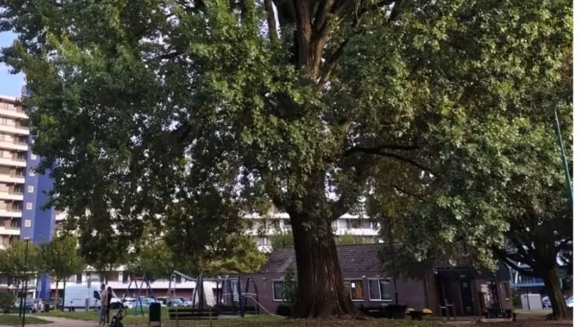 CDA Veenendaal