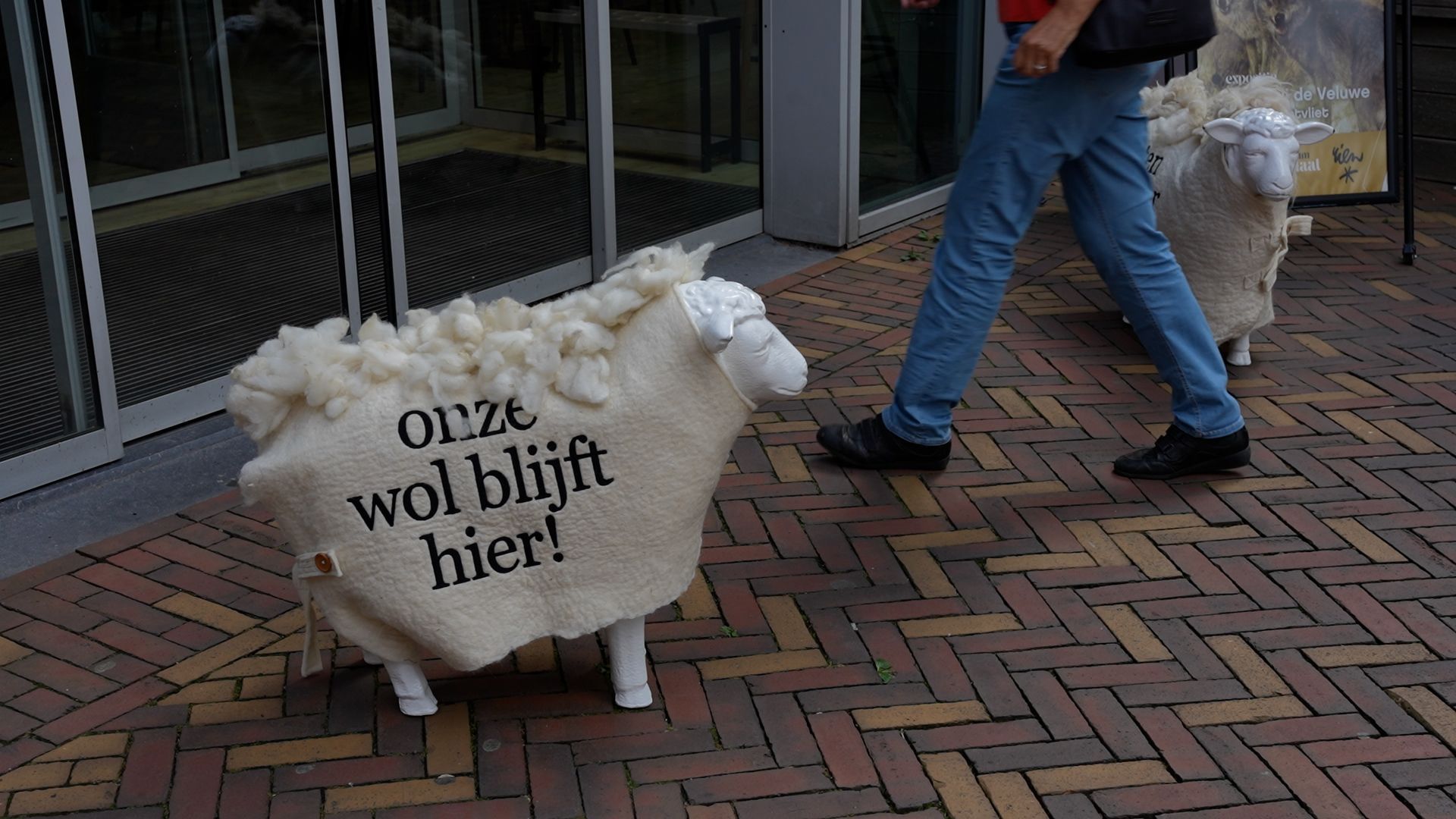 Anna van den Hazel / XON