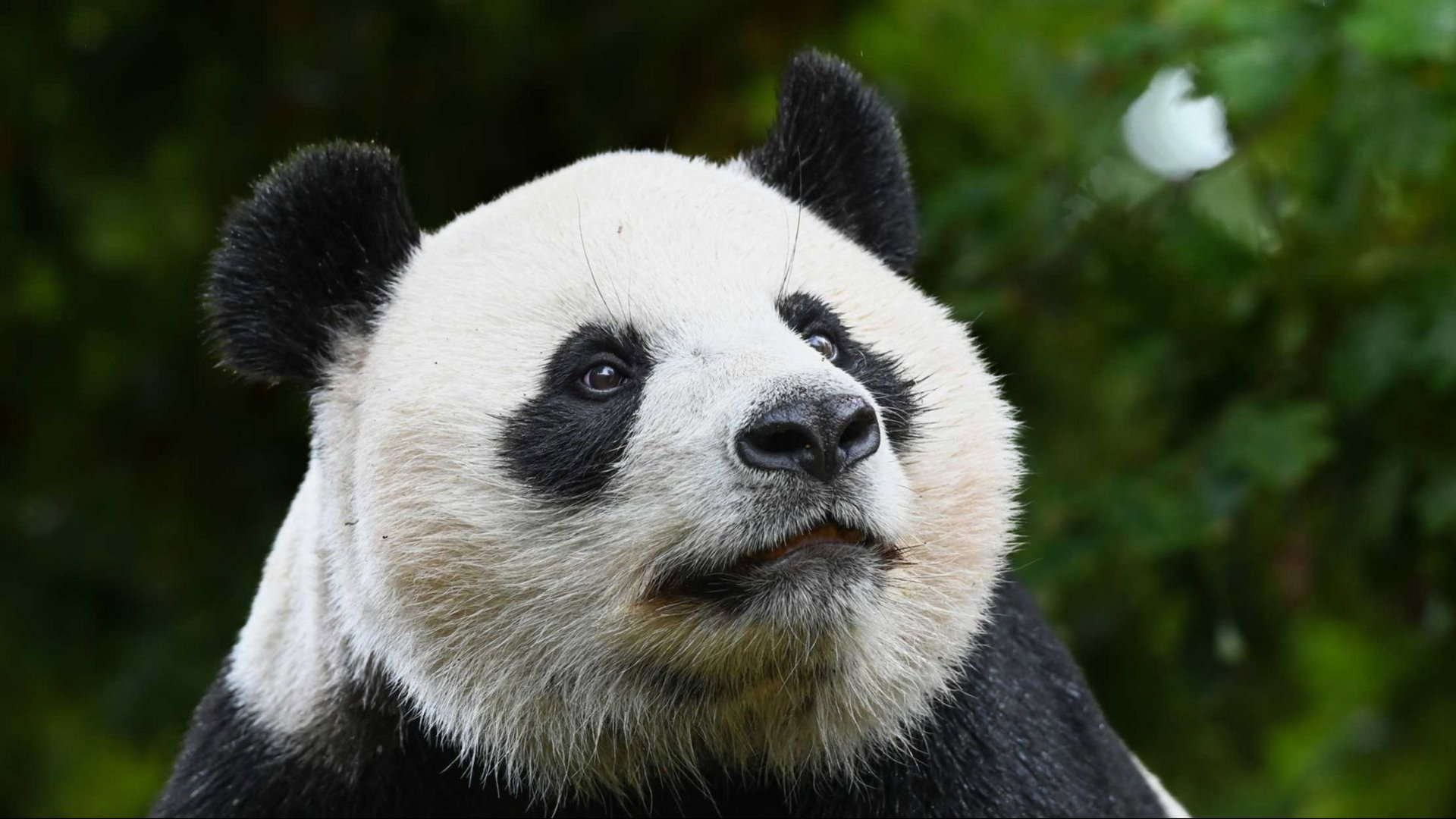 Ouwehands Dierenpark