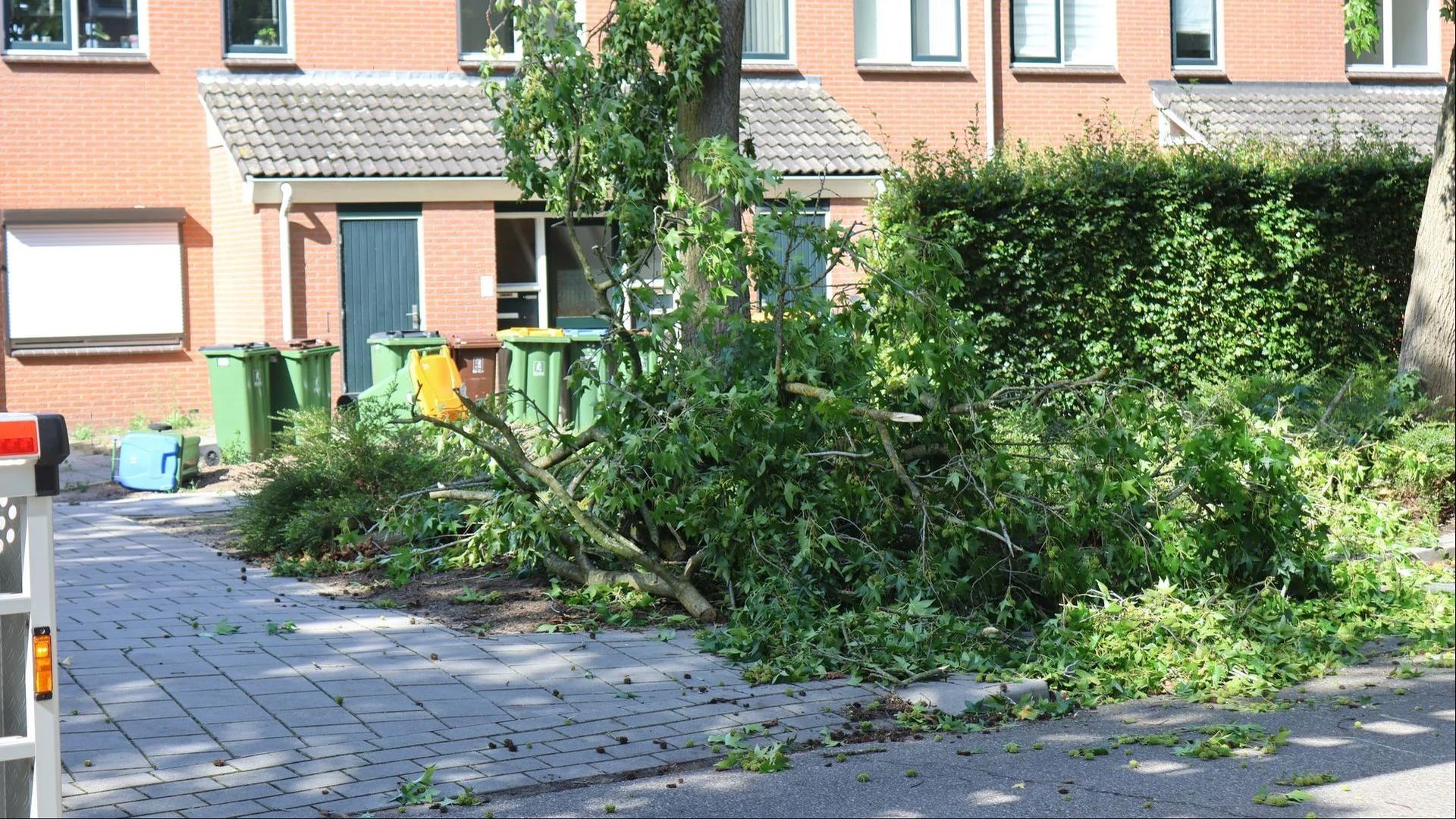 Persbureau Heitink