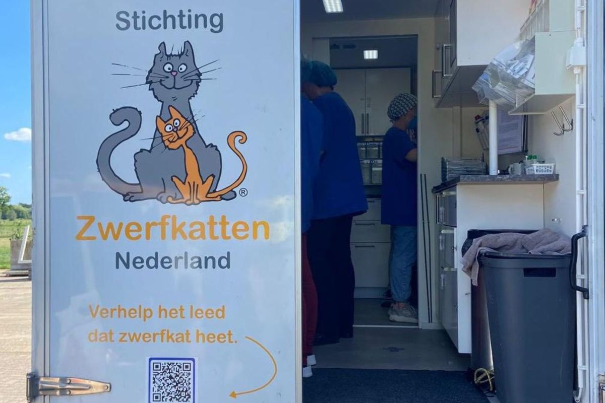 Dierenambulance Woudenberg en omstreken