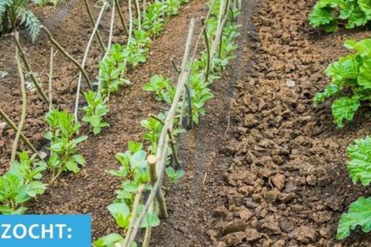 Coördinatie Vrijwilligers Vluchtelingen Ede