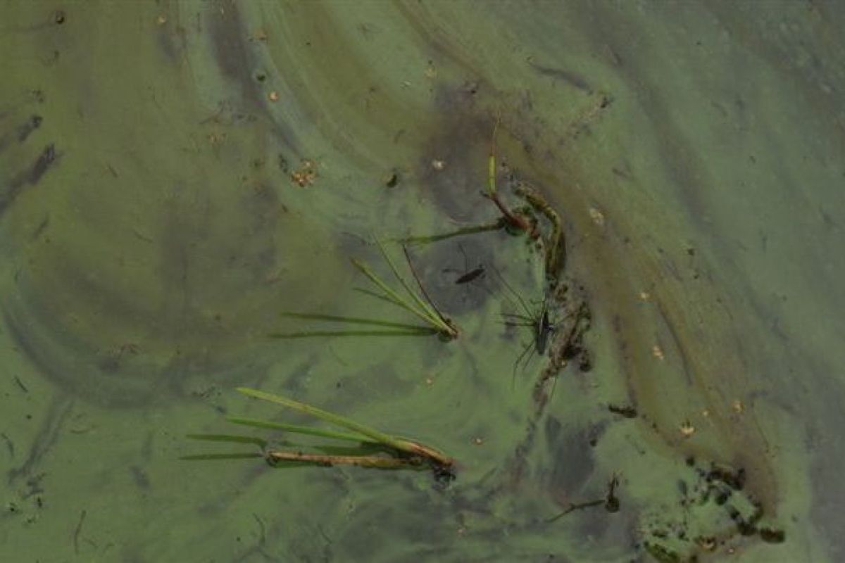 Waterschap Vallei en Veluwe