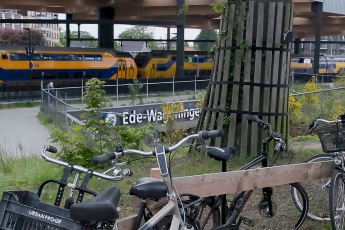 Bastiaan Mooijman / XON