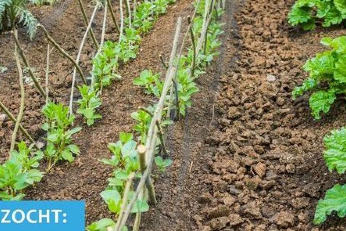 Coördinatie Vrijwilligers Vluchtelingen Ede