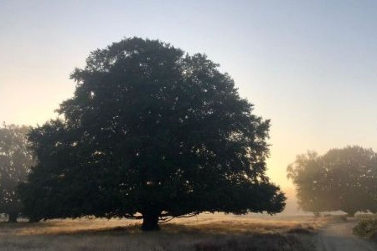 Geldersch Landschap en Kastelen