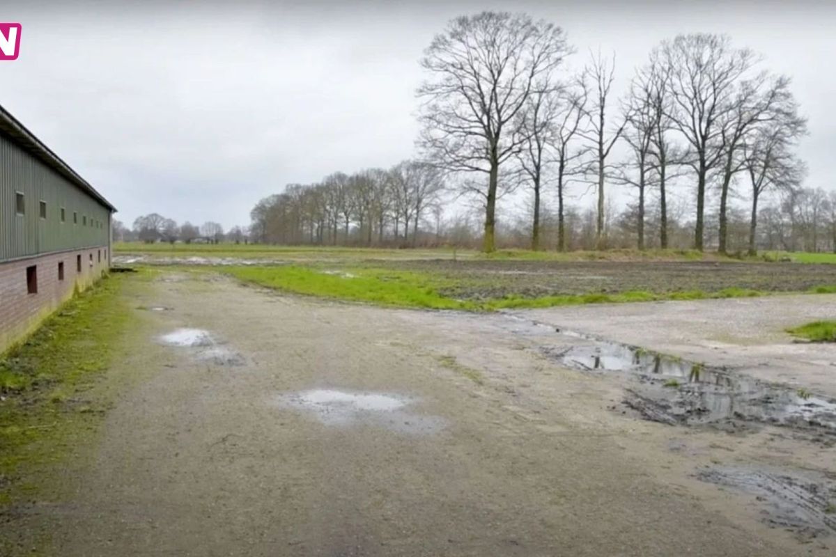 Kirsten van der Wardt