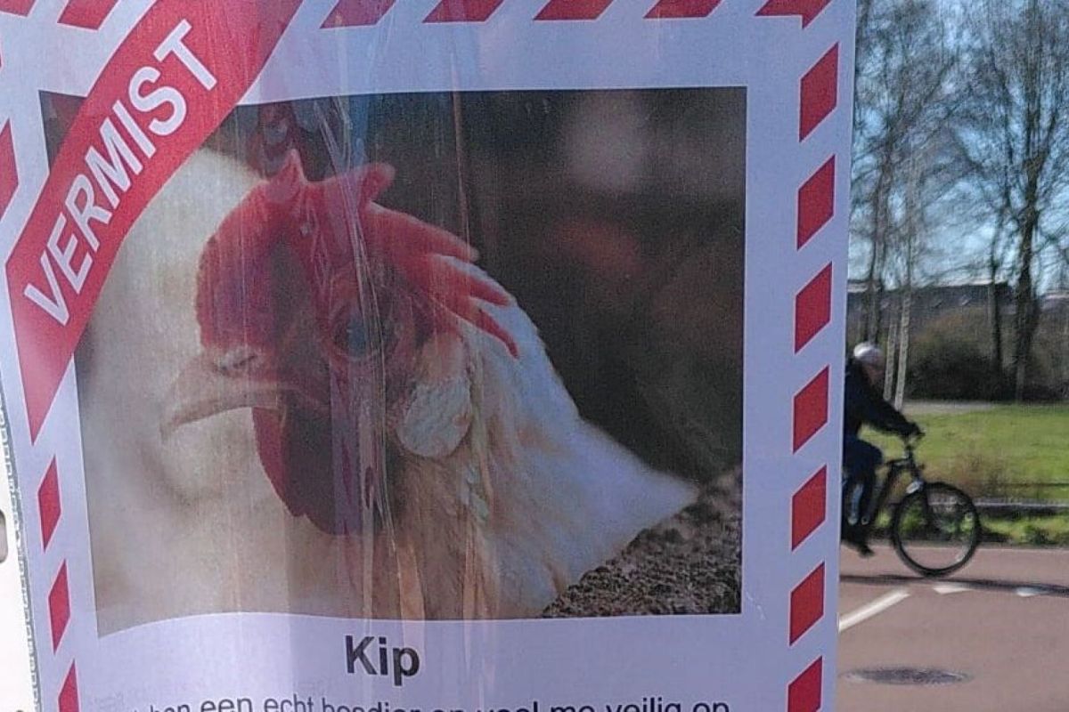 Partij voor de Dieren Ede