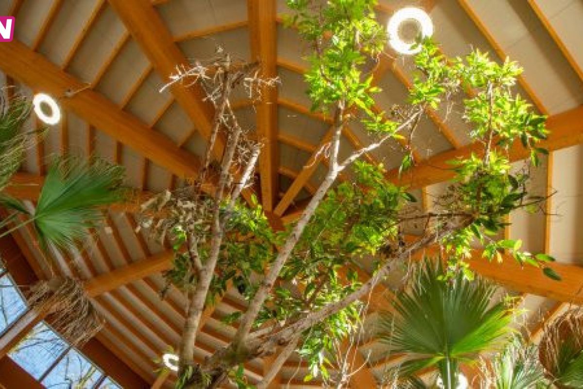 Ouwehands Dierenpark