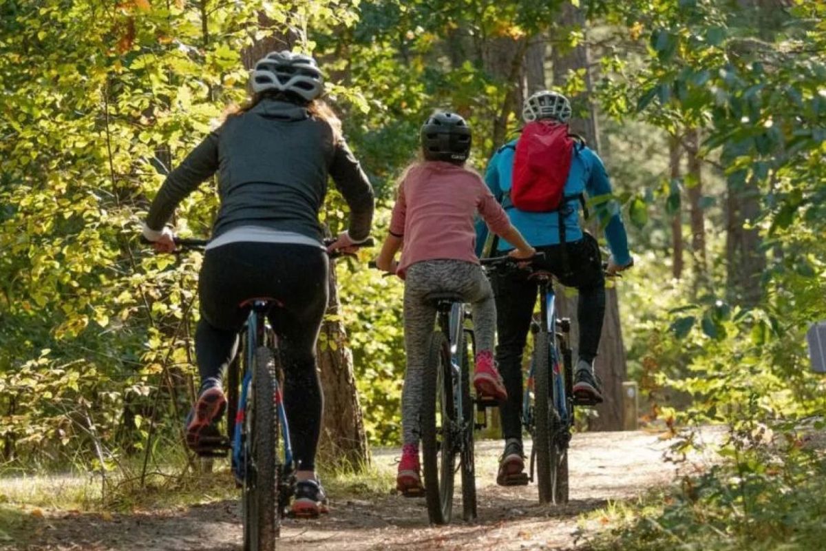 Bungalowparkoverzicht.nl